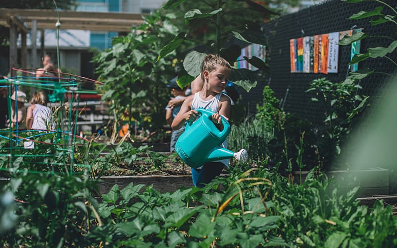 Go Green: 10 Powerful Tips for a More Sustainable Lifestyle